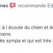 Avis