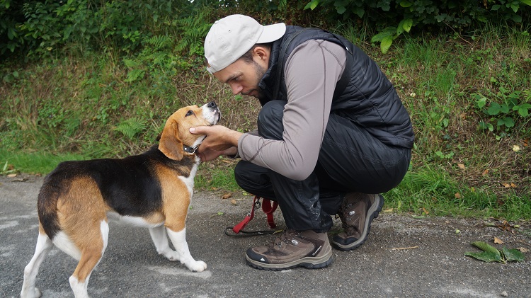 Hopi - Beagle