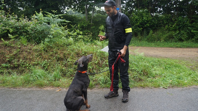 Leopol - Croisé Doberman