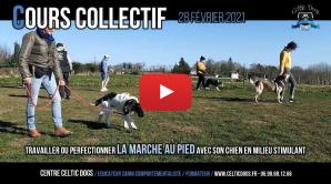 28 fevrier collectif image