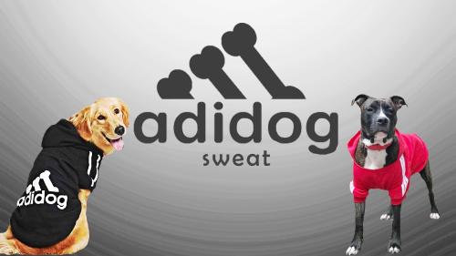 Adidas sweat