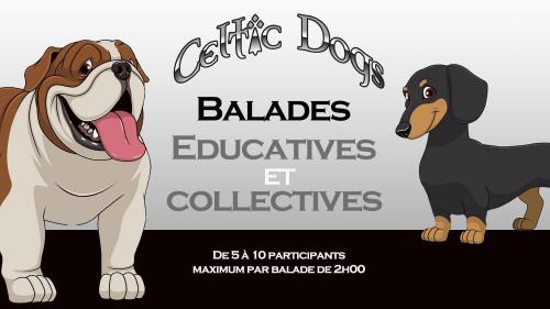 Balades educatives et collectives