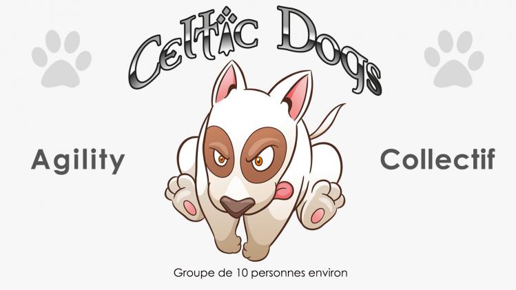 Agility collectif
