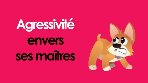 Agressivite maitres