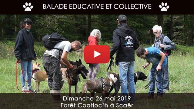 Balade 26 mai 2019