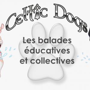 Balades educatives et collectives