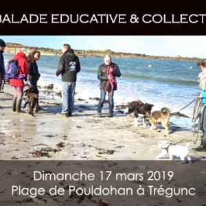 Balde educ 17 mars