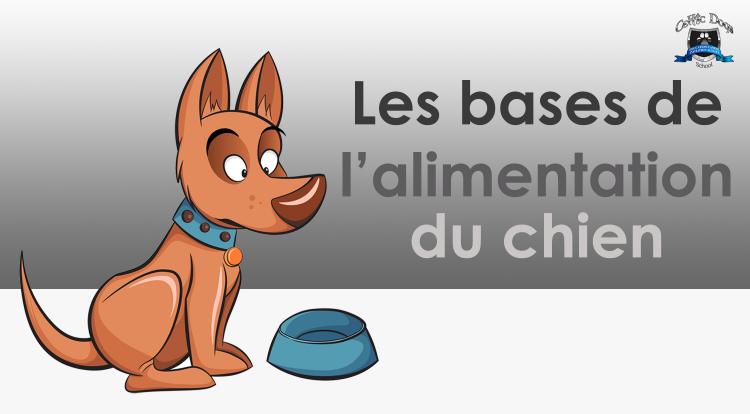 Bases de l alimentation