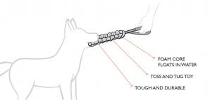 Beaver tail diagram 1