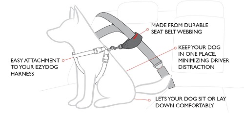 Car restraint diagram