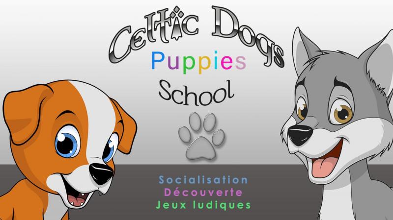 Celtic dogs puppies 1