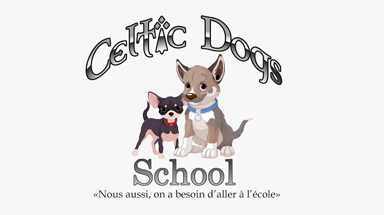 Celtic dogs school education