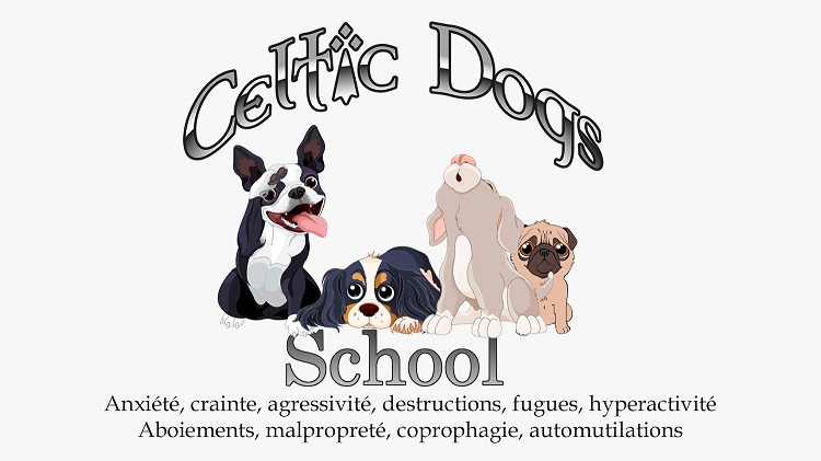 Celtic dogs school site internet education copie 2