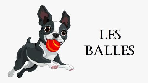 Chien balle