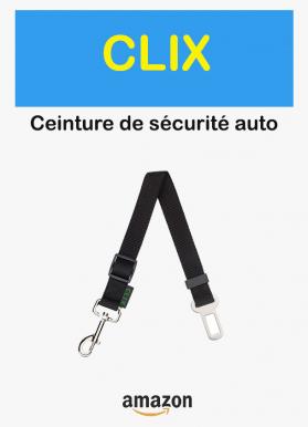 Clix auto