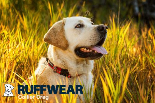 Collier ruffwear crag