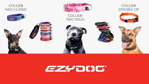 Colliers ezydog