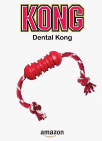 Dental kong