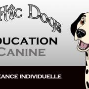 Education canine 2
