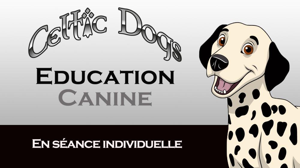 Education canine