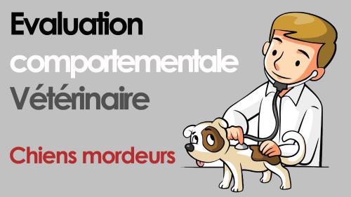 Evaluation comportementale veterinaire