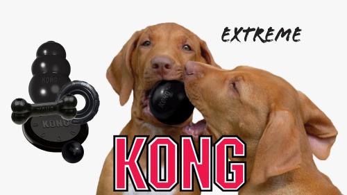 Extreme kong