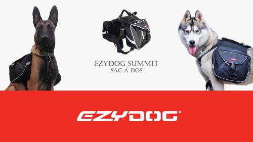 Ezy dog summit