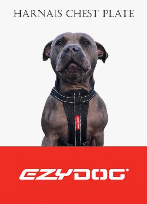 Ezydog chest plate