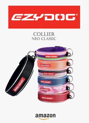 Ezydog colliers neo classic