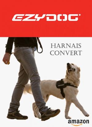 Ezydog convert