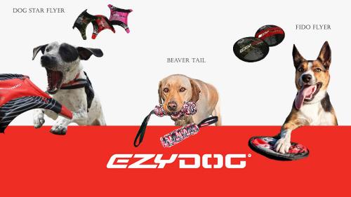 Ezydog jouets