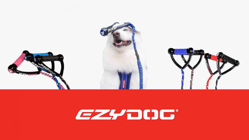 Ezydog laisse cujo