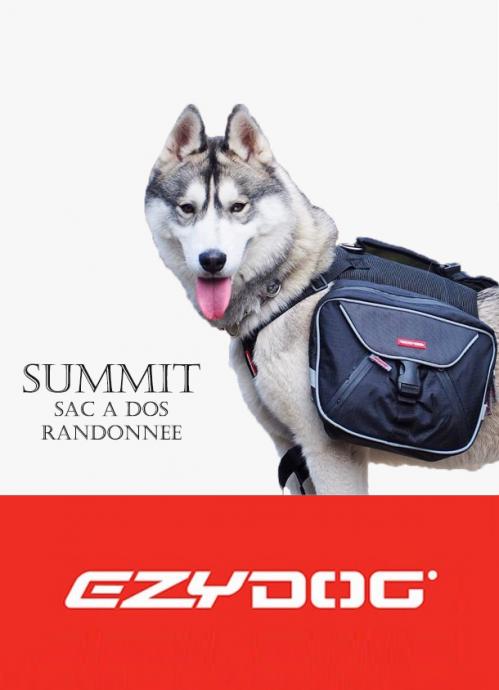 Ezydog summit 1