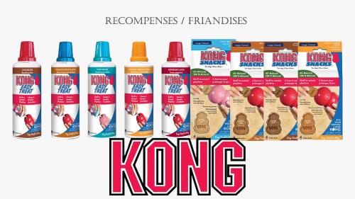 Friandises kong 1