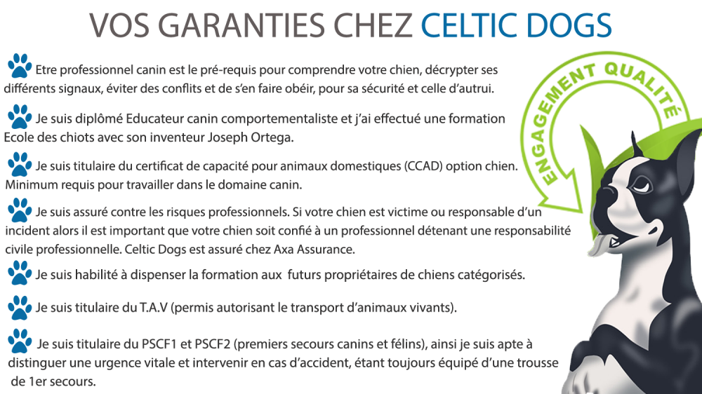 Garanties celtic dogs 2