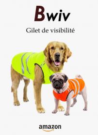 Gilet jaune