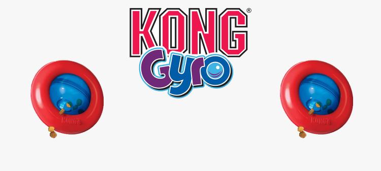 Gyo kong