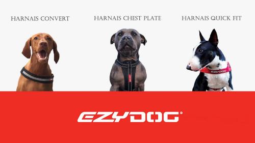 Harnais ezy dog