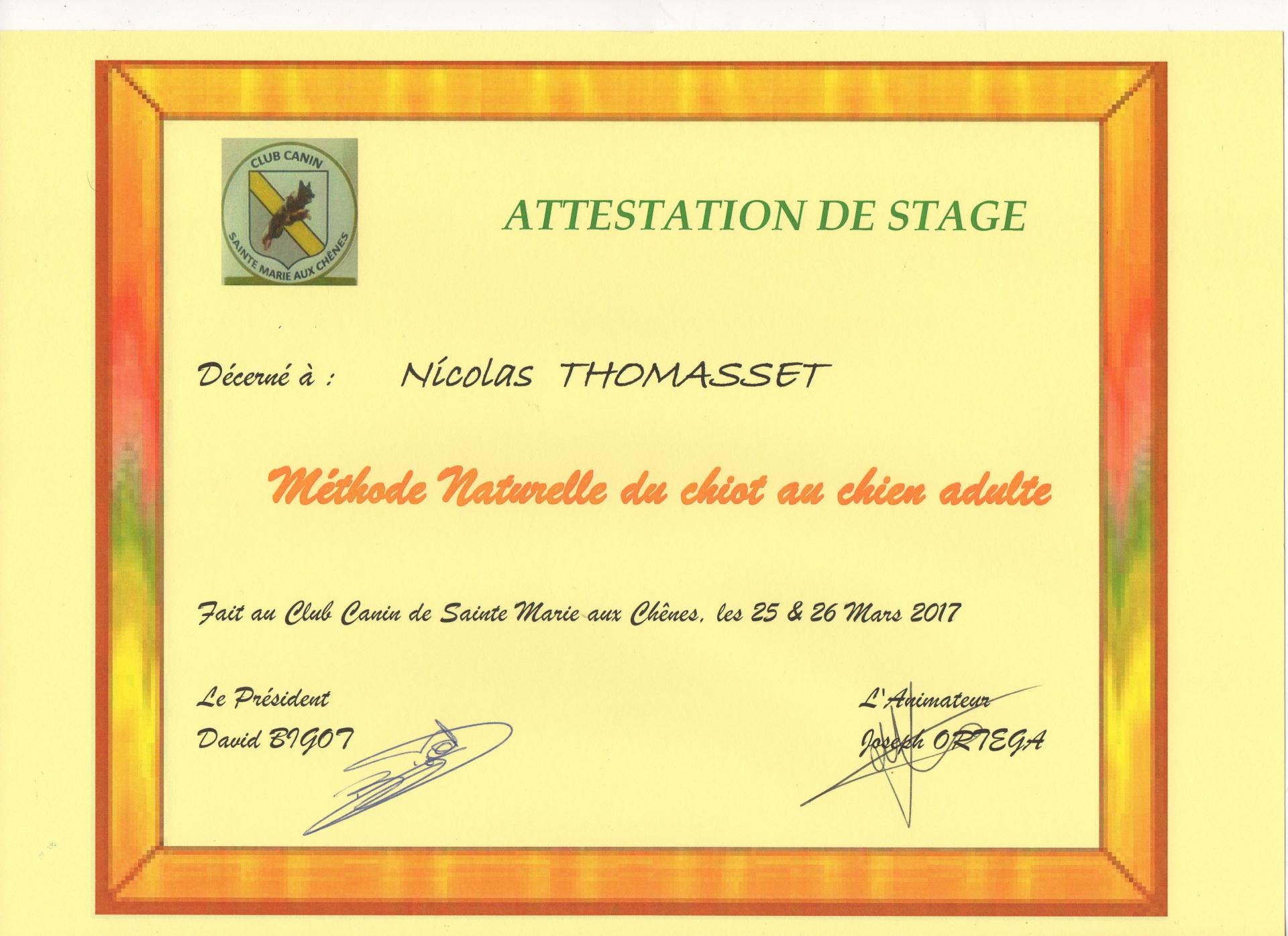 Stage Ecole du chiot