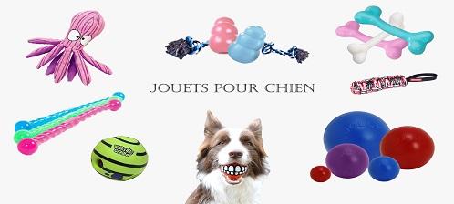 Jouets pour chiens copie