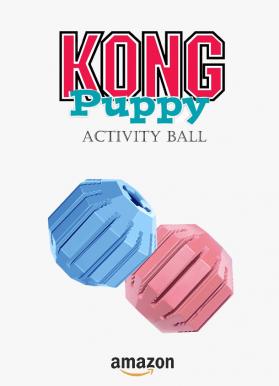 Kong activity ball