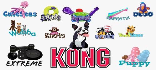 Kong all copie