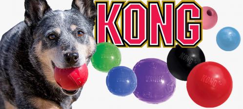 Kong ball