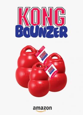 Kong bounzer