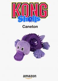 Kong caneton