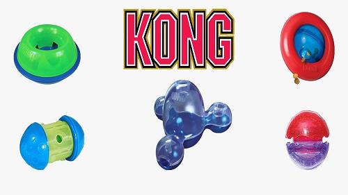 Kong distributeurs copie