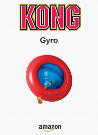 Kong gyro