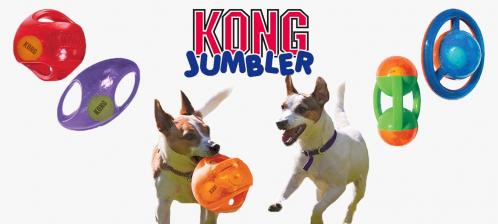 Kong jumbler