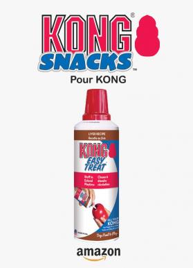 Kong pates boeuf