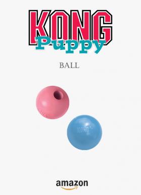 Kong puppy ball